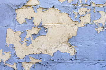  Old blue paint is shelled on a wall. Colors dry stretch pattern.