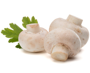 Champignon and parsley herb still life isolated on white background cutout