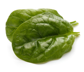 Baby spinach leaves isolated on white background cutout