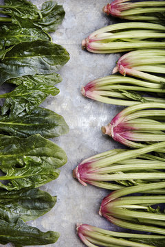 Winter spinach