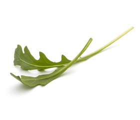 Sweet rucola salad or rocket lettuce leaves isolated on white background