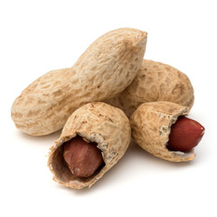 Opened and whole peanut or groundnut pod isolated on white background close up