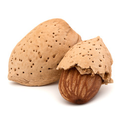Almond nut in shell and shelled isolated on white background close up