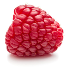 ripe raspberry isolated on white background close up © Natika