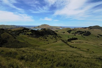 Otago Views