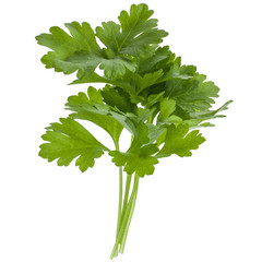fresh parsley herb  leaves isolated on white background cutout