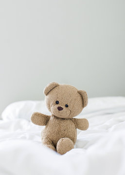 Teddy Bear