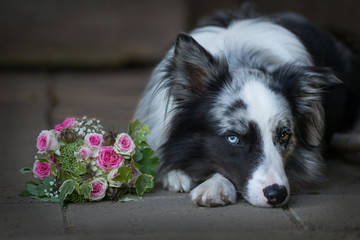 Hund mit Blumenstrauß