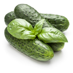 Cucumber vegetable and basil leaves isolated on white background cutout
