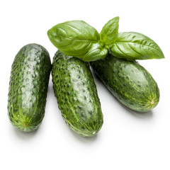 Cucumber vegetable and basil leaves isolated on white background cutout