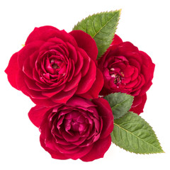 Fototapeta premium red rose flower bouquet with green leaves isolated on white background cutout