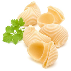 Italian lumaconi isolated on white background. Lumache, snailshell shaped pasta.