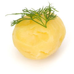 one boiled peeled potato with dill  isolated on white background cutout