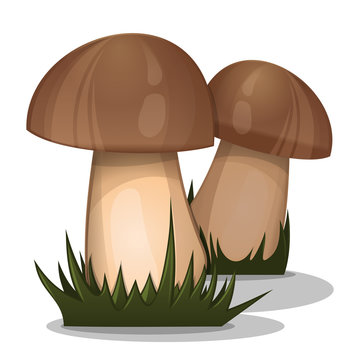 Organic nature forest mushrooms in grass. Vector mushrooms icon isolated on white background