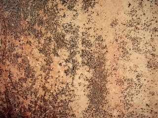 Grunge wall texture