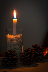 wine and fir cones in front of a fire
