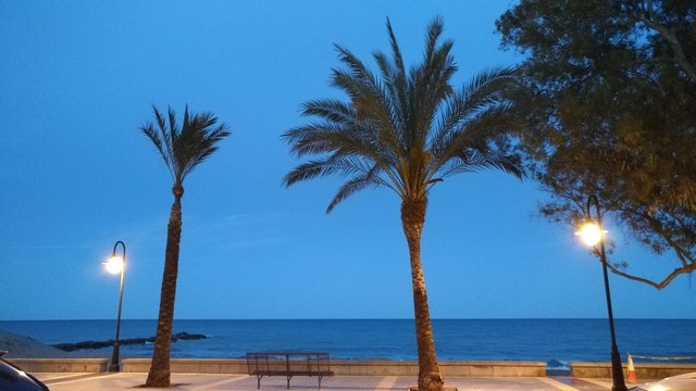 Mde Bilder Durchsuchen 562 Archivfotos, und Videos