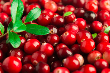 Fresh cranberries background with selective focus