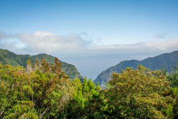 Bäume versperren die Aussicht auf die Bergketten und das Meer auf der Insel Madeira