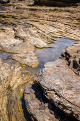 Tide pools on the Pacific coast in Southern California.