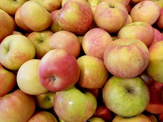 yellow and red apples at the food market