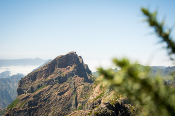 Berggipfel auf Madeira mit Pflanzen im Vordergrund