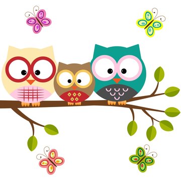 Owls on a tree with butterflies