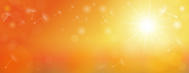 Naklejka premium Tło sztandar z latającymi dandelion parasolami i sunbeams Wellbeing dla umysłu i duszy Wellness tło z ciepłymi kolorami Wektorowa ilustracja
