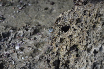 Seascape island Benguerra. Mozambique