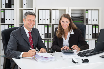 Two Accountants Working In Office