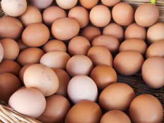 organic eggs in a basket
