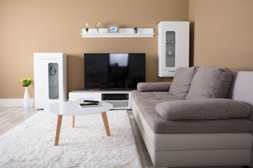 Apartment With Television And Sofa