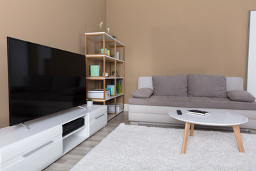 Apartment With Television And Sofa