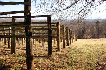 Vineyard field on the Virginia moutain in winter