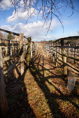 Vineyard field on the Virginia moutain in winter