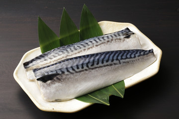 鯖　Mackerel