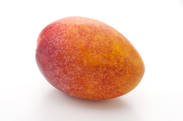 Fototapeta premium アップルマンゴー