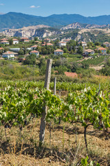 Fototapeta na wymiar Panoramic view of Lozenitsa Village and Vine plantations near Melnik town, Blagoevgrad region, Bulgaria