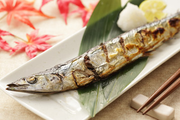 さんま　Grilled Pacific saury