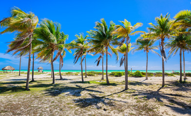 amazing inviting view of tropical palm garden leading to the beach and ocean at Cayo Coco island, Cuba