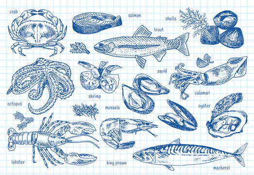 seafood menu, octopus, mussels, lobster, trout, shells, mackerel, crab, oyster, king prawns, shrimps, squid, salmon, calamari
