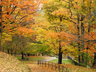 autumn path