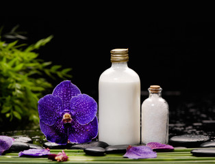 Fototapeta na wymiar Still life with purple orchid with black stones ,massage oil with green plant