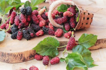 Mulberry organic red and black is tasty