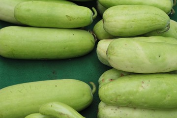 winter melon in the market