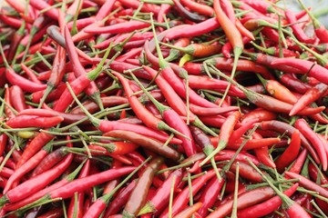 Fresh chilli in the market