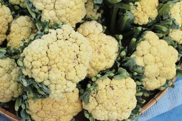 head cabbage in the market