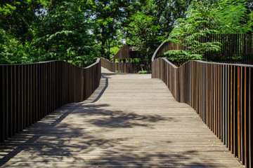 wonderful walkway in the park