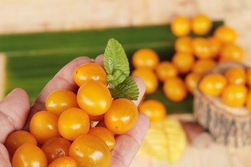 Fresh yellow tomatoes organic on wood background
