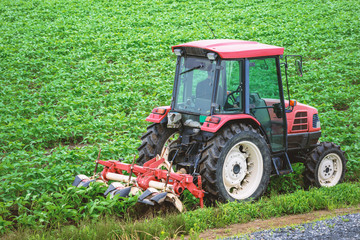 Naklejka premium 農作業風景
